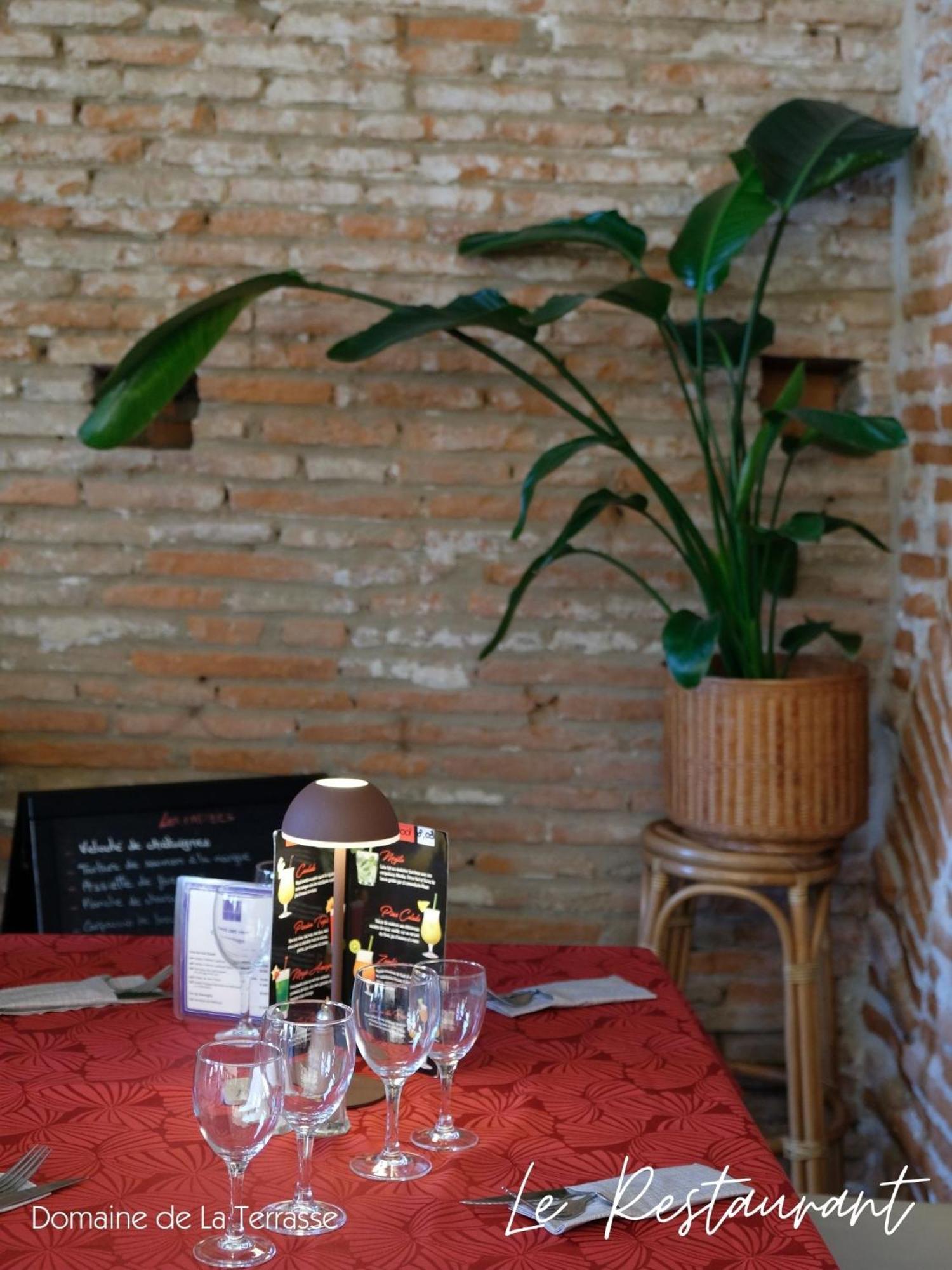 Apartament Domaine De La Terrasse Carbonne Zewnętrze zdjęcie