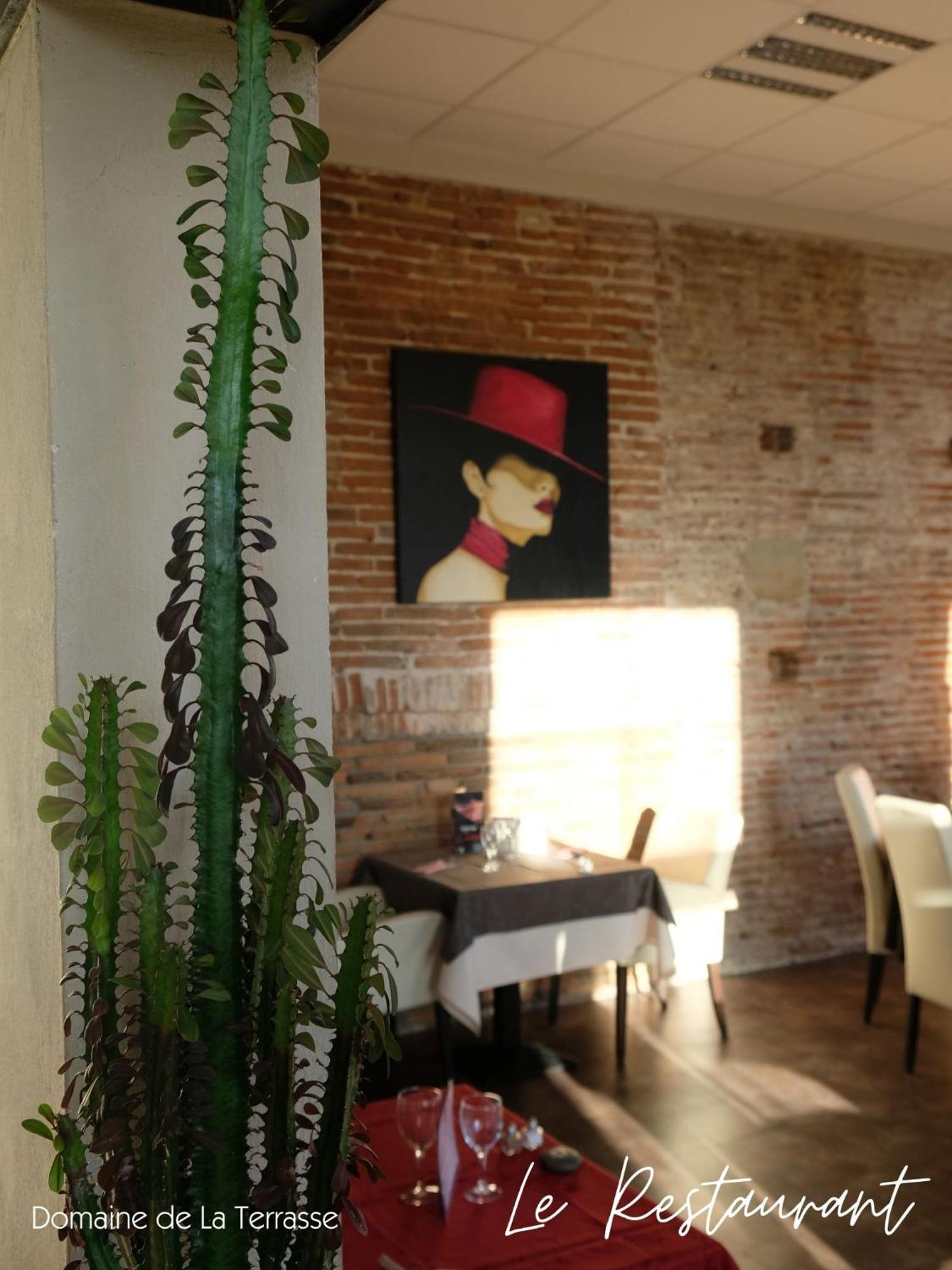 Apartament Domaine De La Terrasse Carbonne Zewnętrze zdjęcie