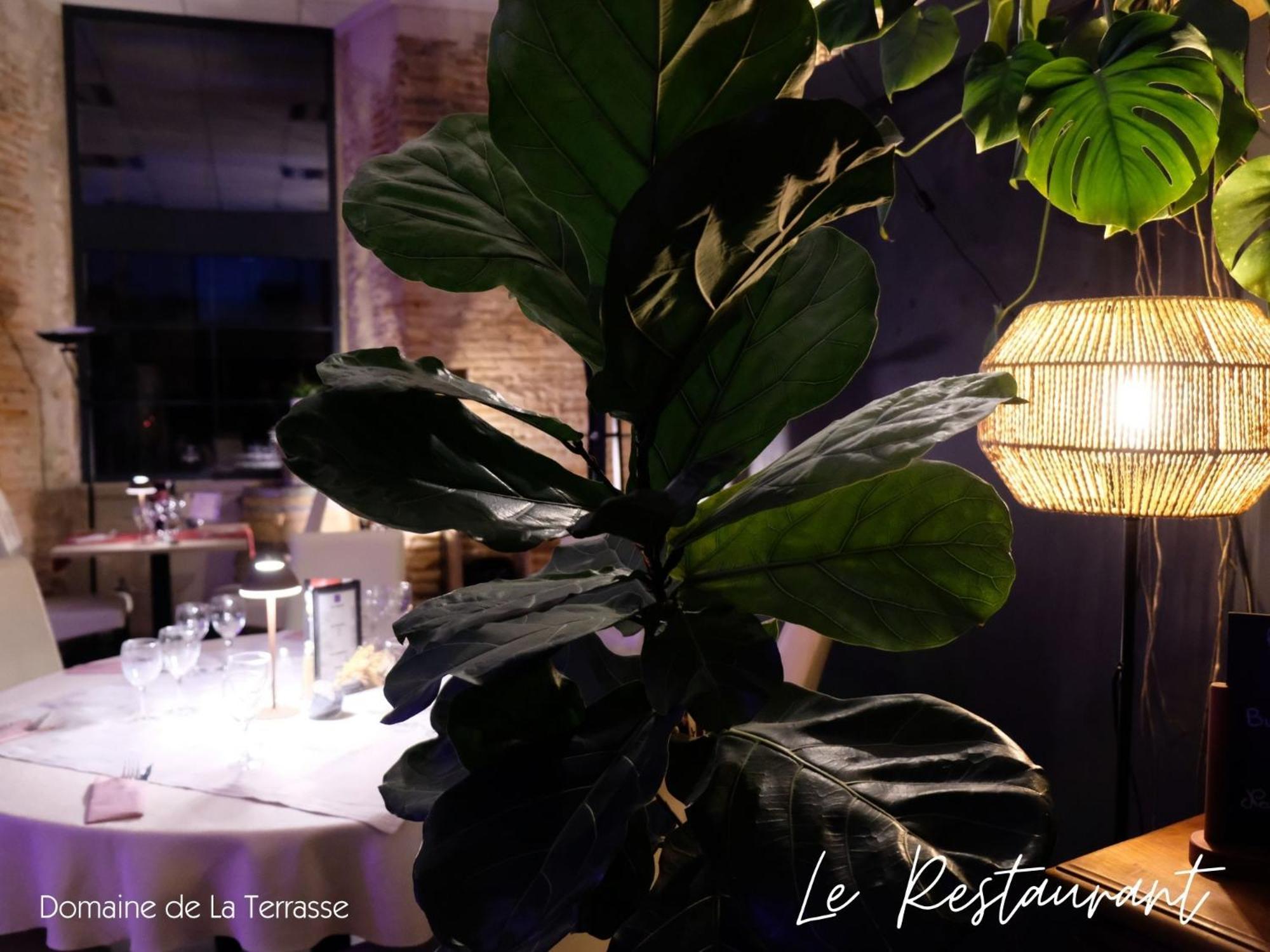 Apartament Domaine De La Terrasse Carbonne Zewnętrze zdjęcie